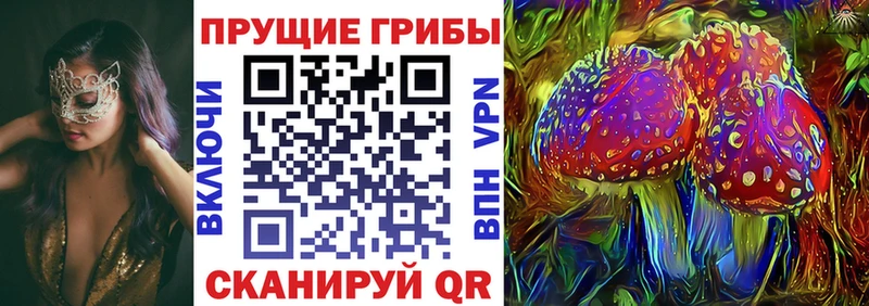 KRAKEN   хочу   Ливны  Галлюциногенные грибы прущие грибы 