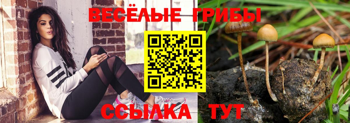 Галлюциногенные грибы Magic Shrooms Ливны