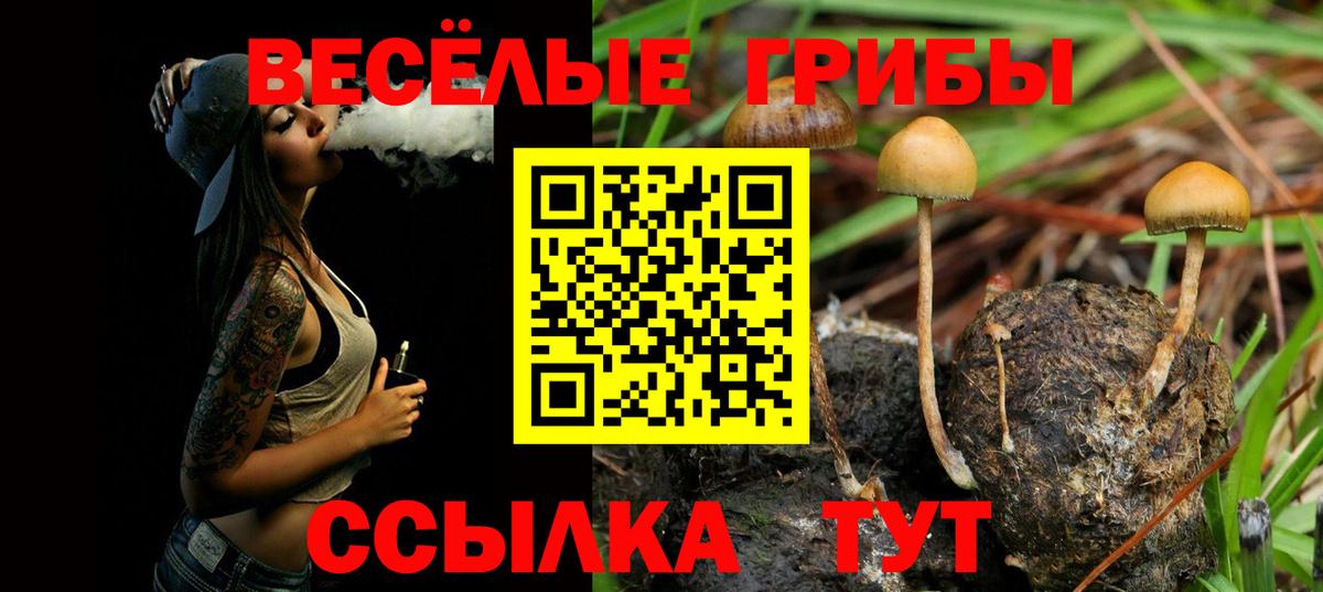 Ливны  Псилоцибиновые грибы Cubensis  Вход с VPN 
