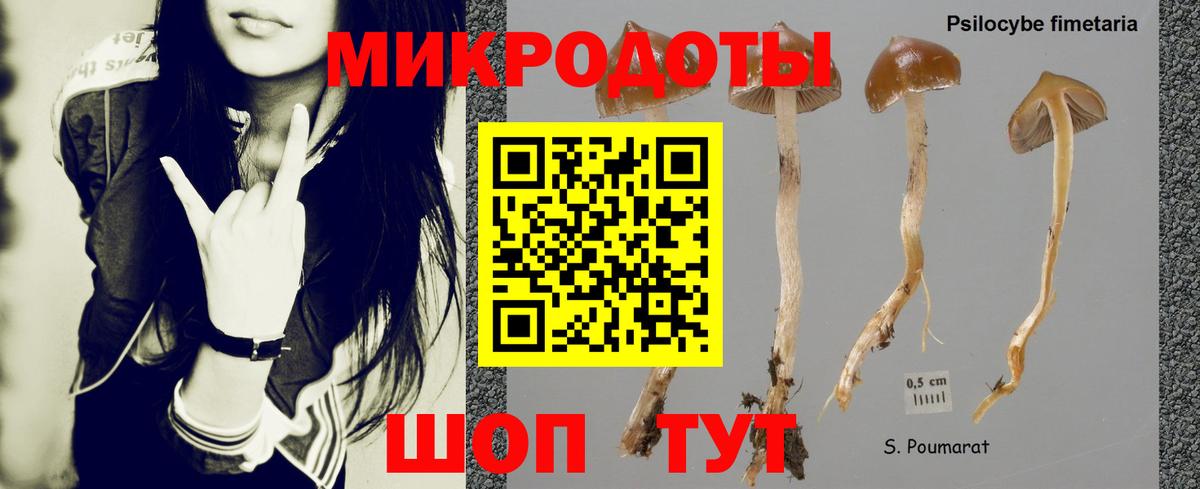 Галлюциногенные грибы Cubensis Ливны